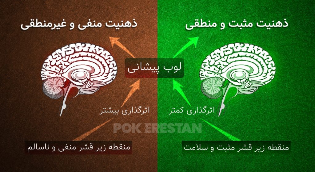 عملکرد مغز انسان